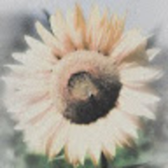 Meet your Posher, Rachel - Picture 1 of 1